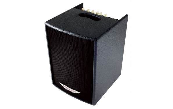 Acoustic 100 - BK