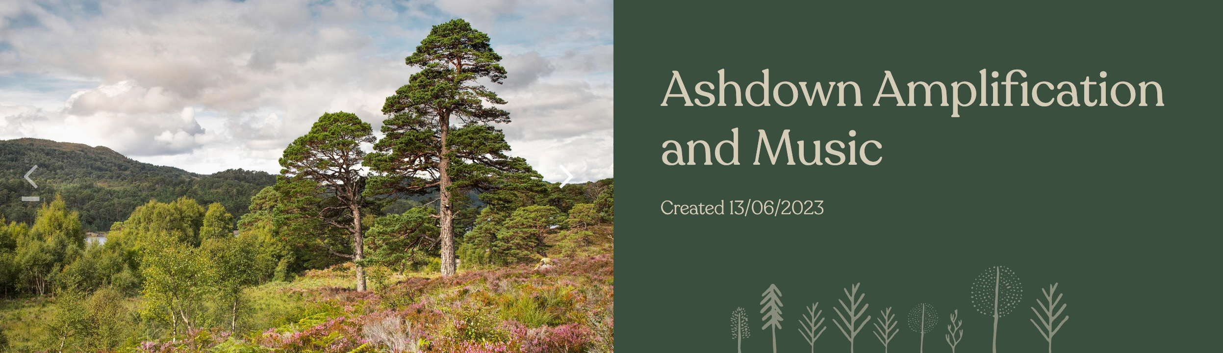 Earth Day with Ashdown: Growing a Legacy That Lasts