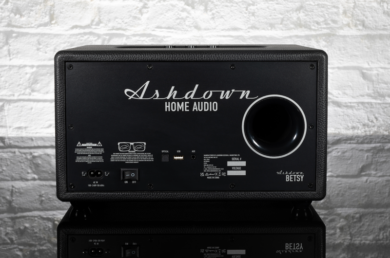 Ashdown Home Audio - rear view of Betsy the BT speaker. Showing the inputs, rear port and Ashdown script logo