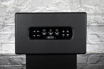Ashdown Home Audio Betsy - Top view showing the volume, bass and treble controls