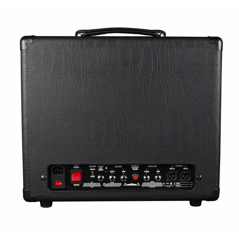 AA-100-R Combo acoustique professionnel 