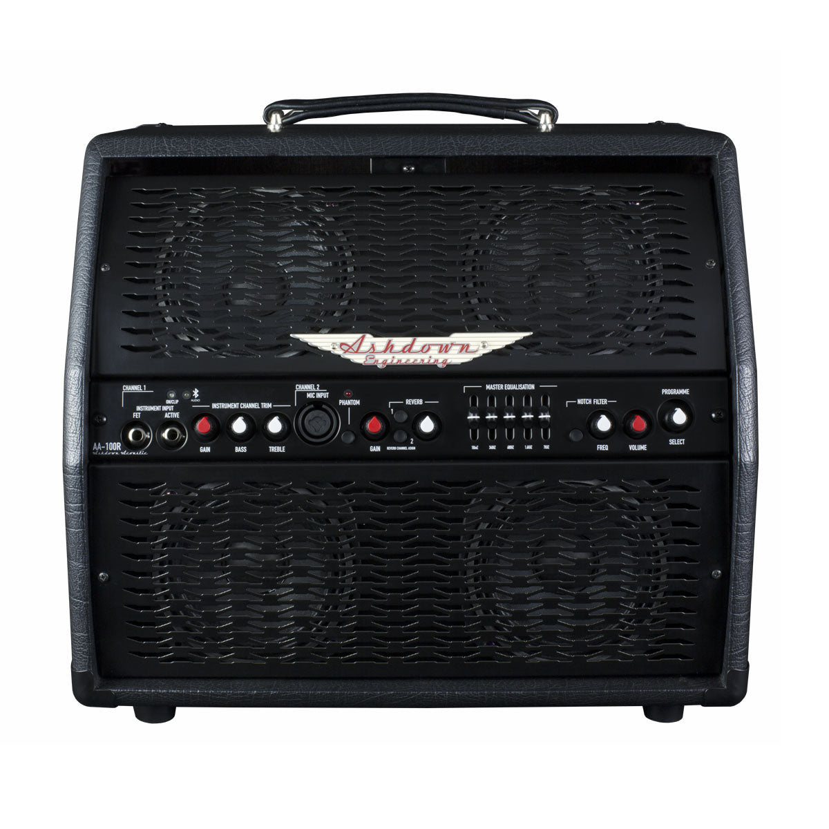 AA-100-R Professioneller Akustik-Combo 