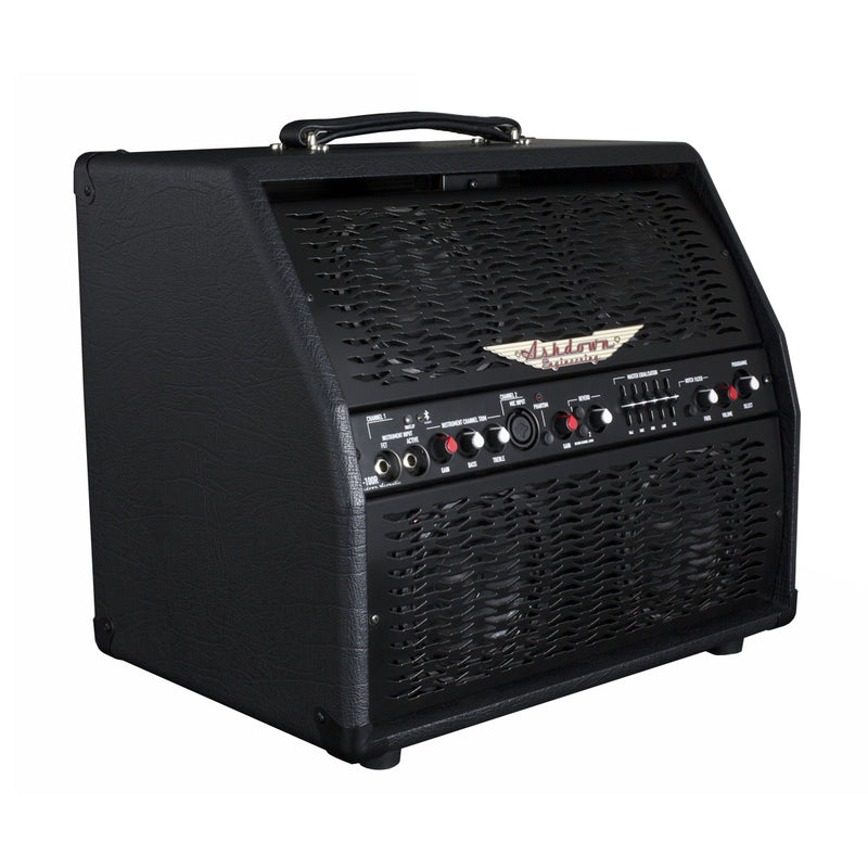 AA-100-R Combo acoustique professionnel 