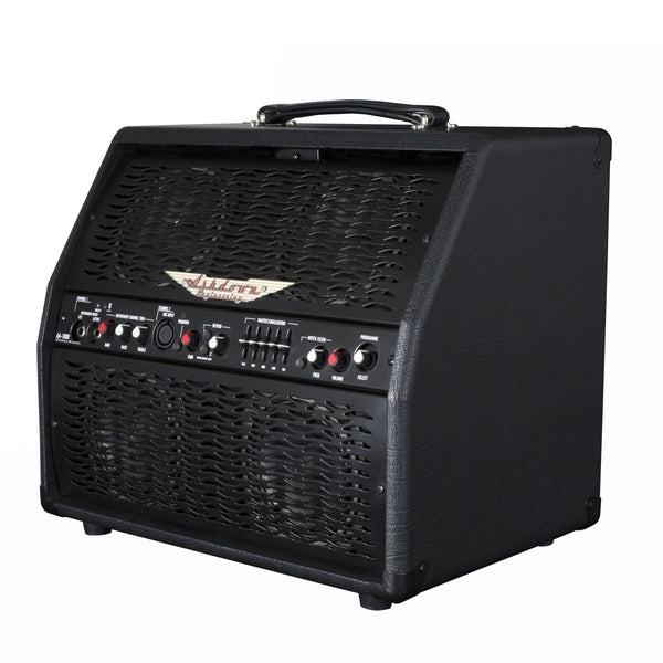 B-Stock - AA-100-R Professional Acoustic Combo