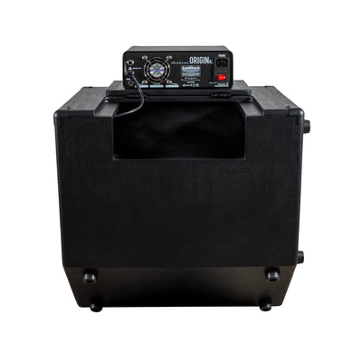 ashdown OriginAL C115T-300 Kickback Combo back