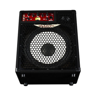 ashdown OriginAL C112T-300 Kickback Combo front leaning