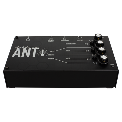 ashdown the ant amp bottom 