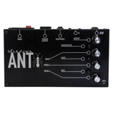 ashdown the ant amp front