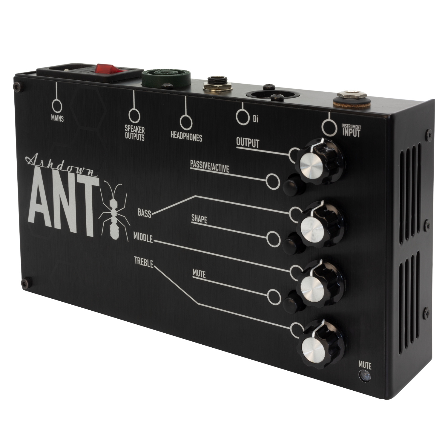 ashdown the ant amp right